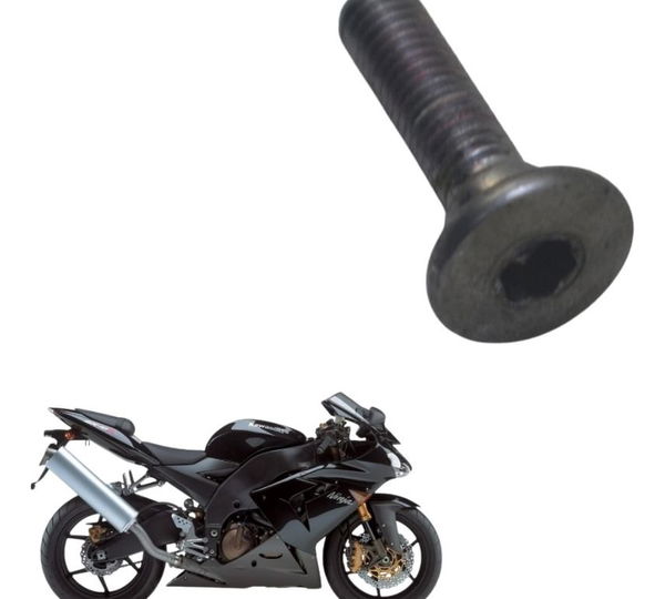 Parafuso Disco Freio Kawasaki Zx 10r 05-06 Original