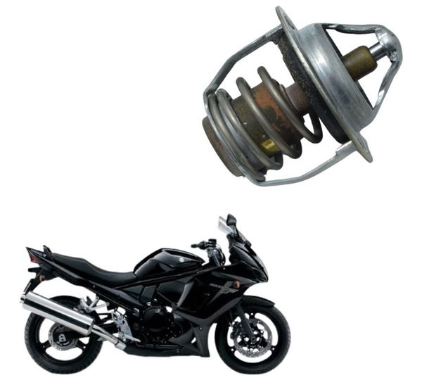 Válvula Termostática Suzuki Gsx 650f 09-12 Original