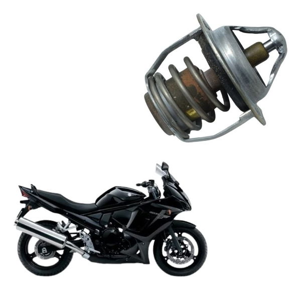 Válvula Termostática Suzuki Gsx 650f 09-12 Original