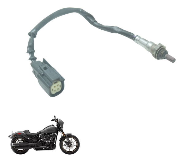 Sonda Lambda Harley Softail Low Rider S 117 21-24 Original