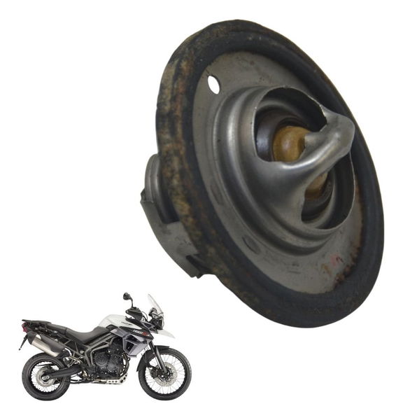 Válvula Termostática Triumph Tiger 800 Xcx 15-17 Original