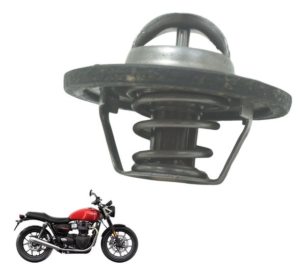 Válvula Termostática Triumph Street Twin 900 16-22 Original