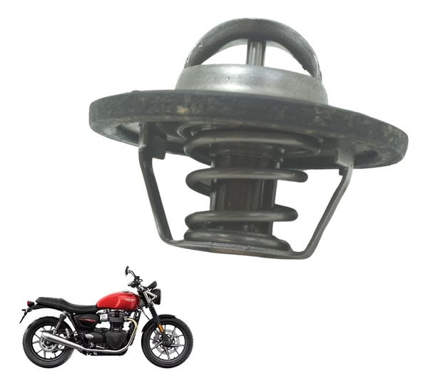 Válvula Termostática Triumph Street Twin 900 16-22 Original