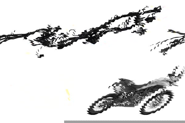 Chicote Principal C/avaria Triumph Tiger 900 Rally Pro 20-23