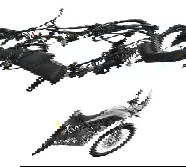 Chicote Principal Triumph Tiger 900 Rally Pro 20-23 Original