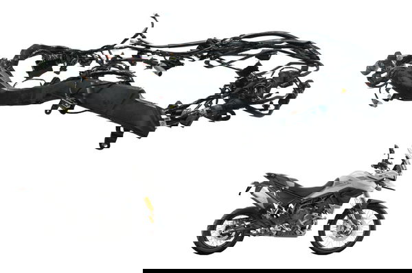 Chicote Principal Triumph Tiger 900 Rally Pro 20-23 Original