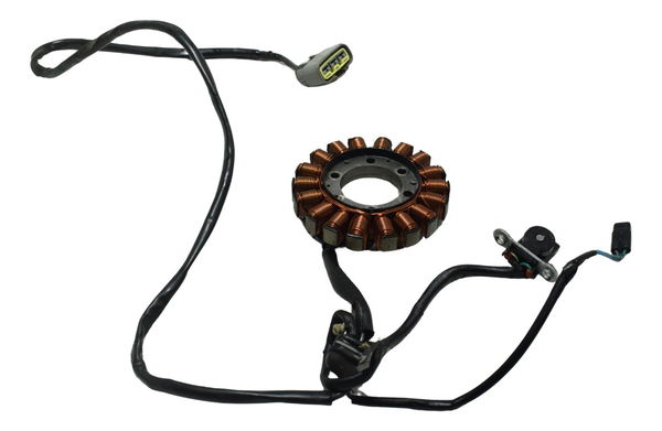 Estator C/ Pulsador Triumph Tiger 900 Rally Pro 20-23 Orig