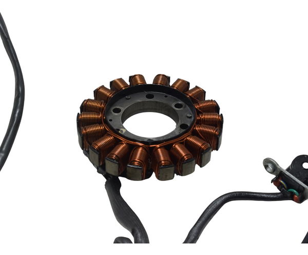 Estator C/ Pulsador Triumph Tiger 900 Rally Pro 20-23 Orig