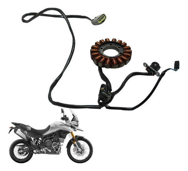 Estator C/ Pulsador Triumph Tiger 900 Rally Pro 20-23 Orig