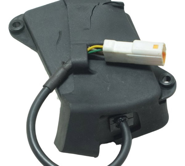 Modulo Bluetooth Triumph Tiger 900 Rally Pro 20-23 Original