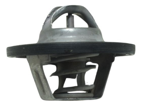 Válvula Termostática Triumph Tiger 900 Rally Pro 20-23 Orig