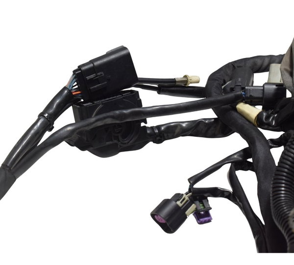 Chicote Principal C/avar Harley Electra Touring M8 114 19-23