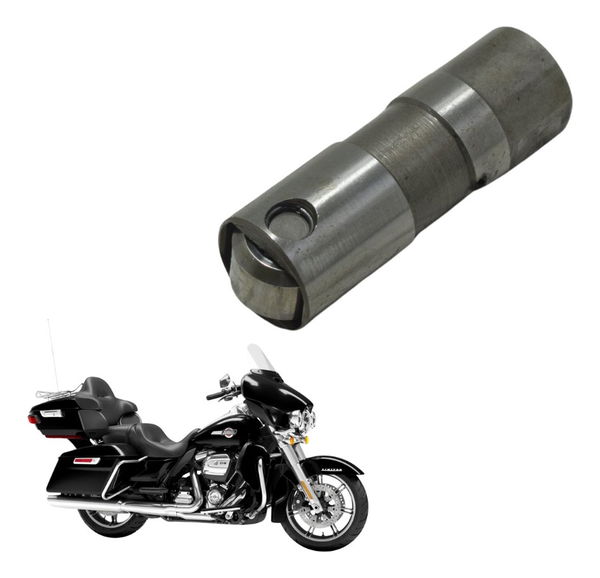 Tucho Válvula Harley Electra Touring M8 114 19-23 Original