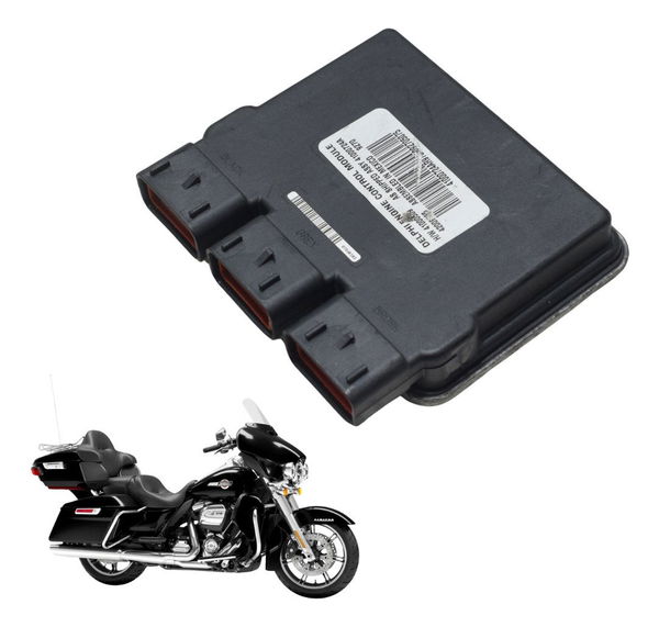 Modulo Ecm Harley Electra Touring M8 114 19-23 Original