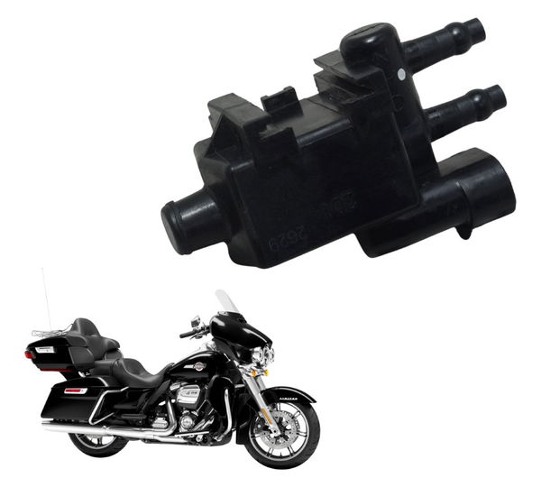 Válvula Canister Harley Electra Touring M8 114 19-23
