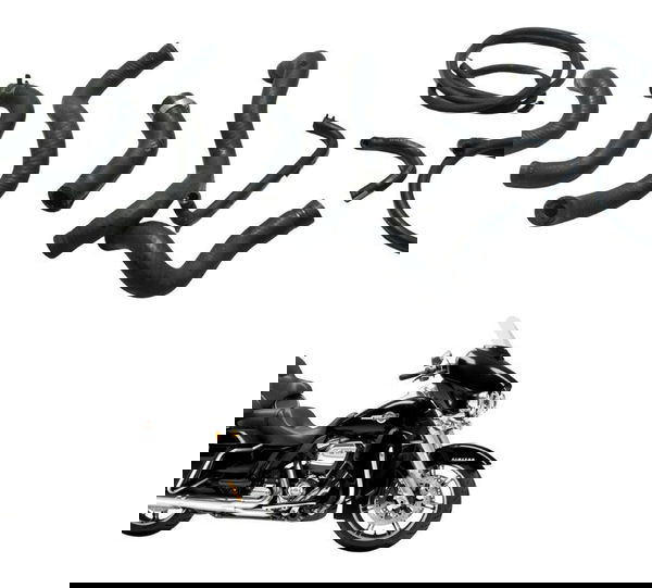 Kit Mangueiras Harley Electra Touring M8 114 19-23 Original