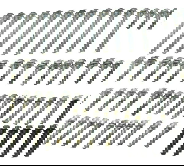 Kit Parafuso Motor Harley Electra Touring M8 114 19-23 Origi