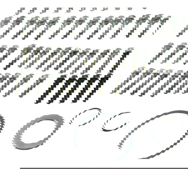 Kit Parafuso Motor Harley Electra Touring M8 114 19-23 Origi