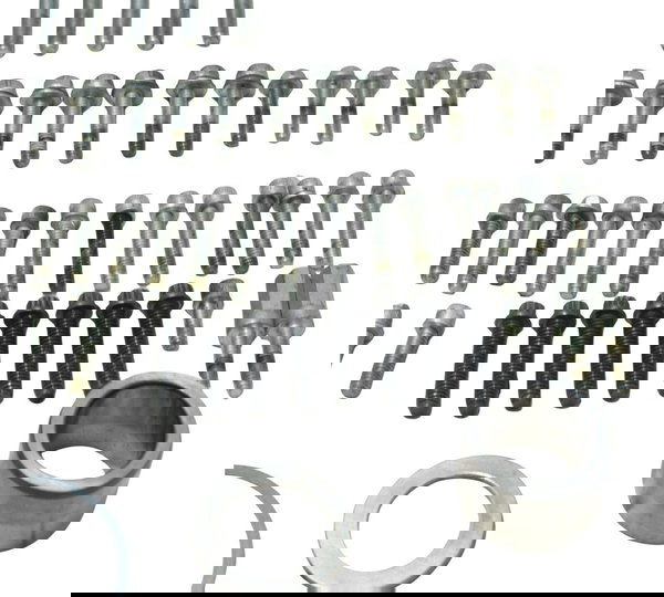 Kit Parafuso Motor Harley Electra Touring M8 114 19-23 Origi