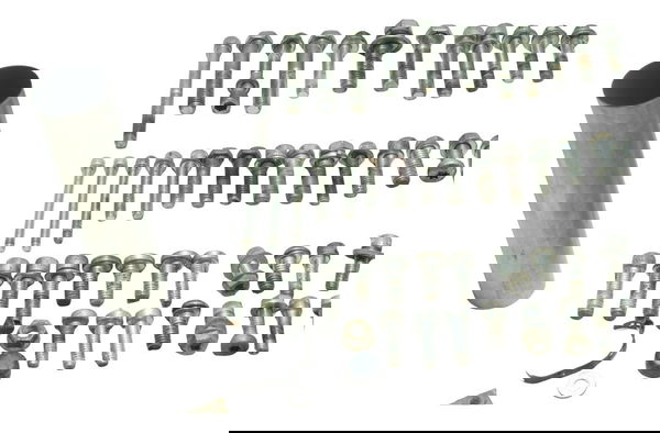 Kit Parafusos Diversos Harley Electra Touring M8 114 19-23