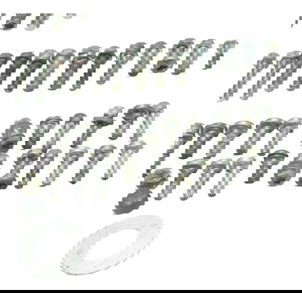 Kit Parafusos Diversos Harley Electra Touring M8 114 19-23