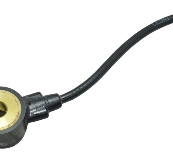 Sensor Detonação Harley Electra Touring M8 114 19-23