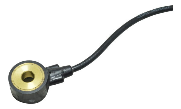 Sensor Detonação Harley Electra Touring M8 114 19-23