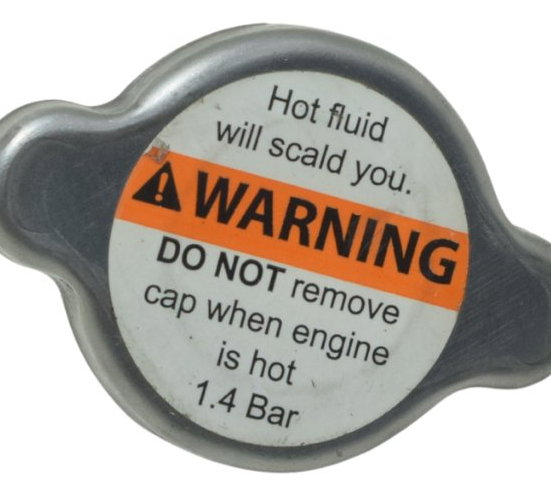 Tampa Radiador Harley Electra Touring M8 114 19-23 Original