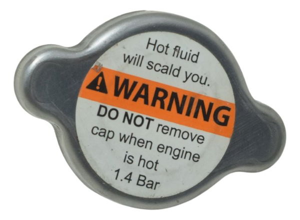 Tampa Radiador Harley Electra Touring M8 114 19-23 Original