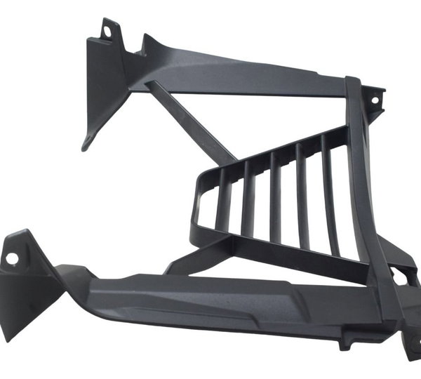 Grade Acabamento Radiador Bmw F 900 R 22-24 Original