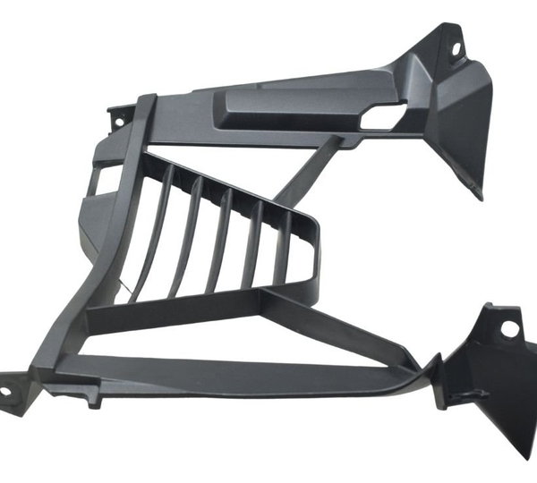 Grade Acabamento Radiador Bmw F 900 R 22-24 Original