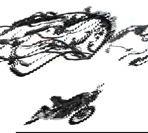 Chicote Principal Bmw F 900 R 22-24 Original