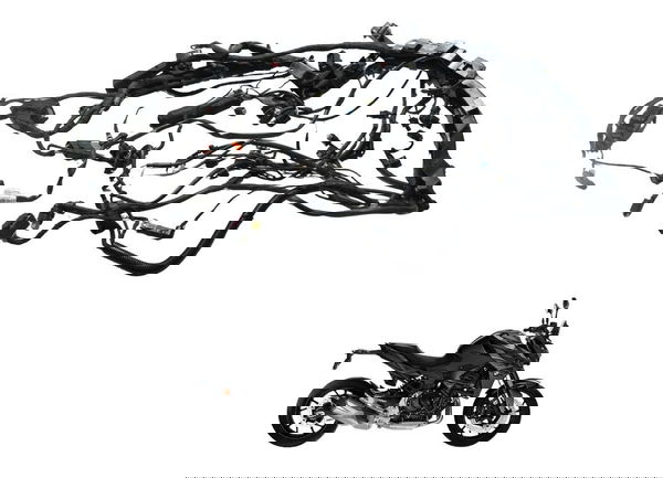 Chicote Principal Bmw F 900 R 22-24 Original