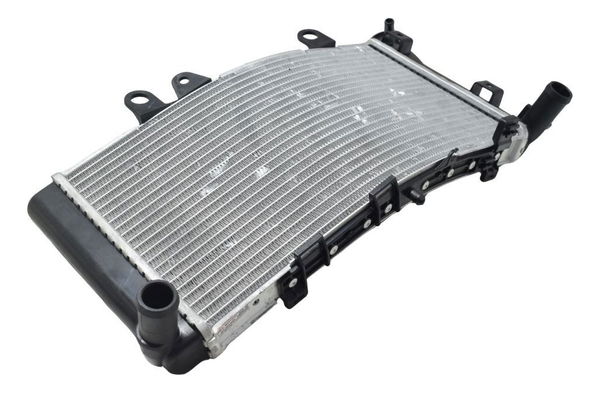 Radiador Bmw F 900 R 22-24 Original