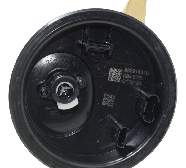 Bomba Combustível Gasolina Bmw F 900 R 22-24 Original