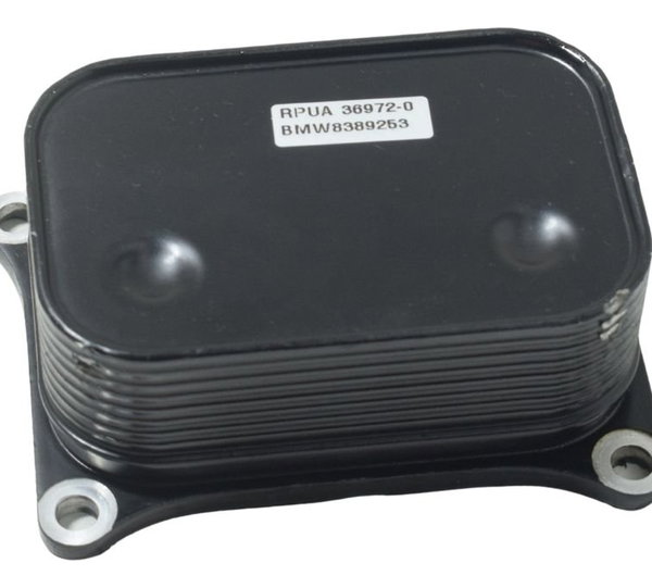 Resfriador Óleo Bmw F 900 R 22-24 Original