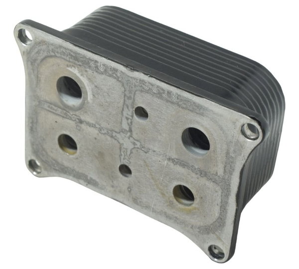 Resfriador Óleo Bmw F 900 R 22-24 Original