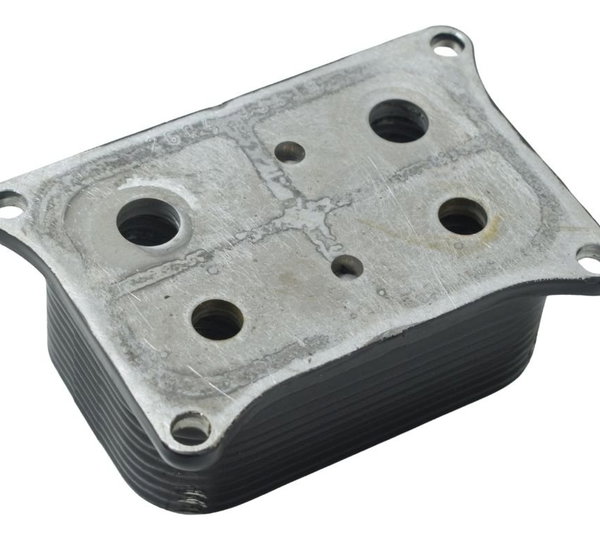 Resfriador Óleo Bmw F 900 R 22-24 Original