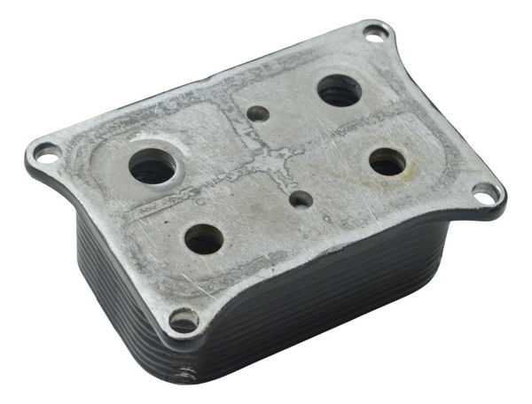 Resfriador Óleo Bmw F 900 R 22-24 Original