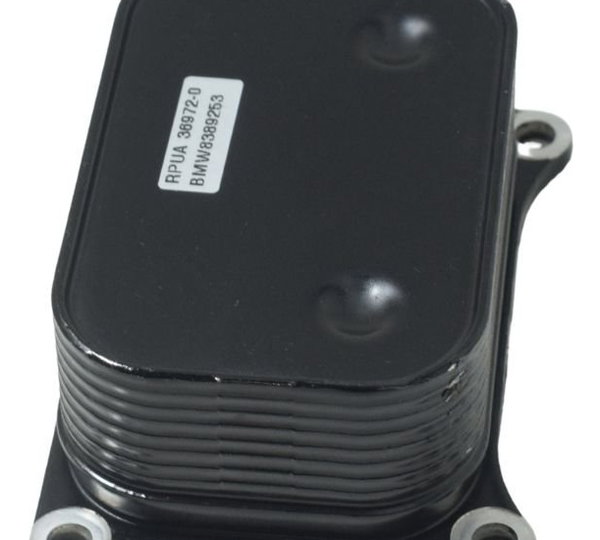 Resfriador Óleo Bmw F 900 R 22-24 Original