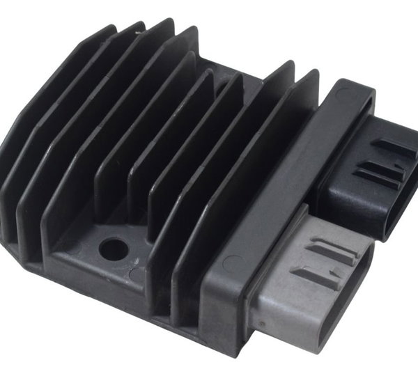 Retificador Carga Bmw F 900 R 22-24 Original