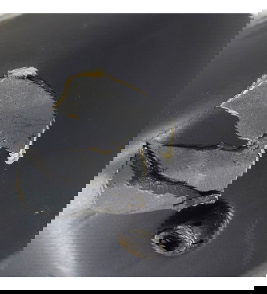 Aba Tanque Dir C/avaria Yamaha Xt 660z Tenere 12-15 Original