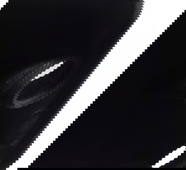 Acabament Carena Pisc Dir C/avari Yamaha Xt660z Tenere 12-15