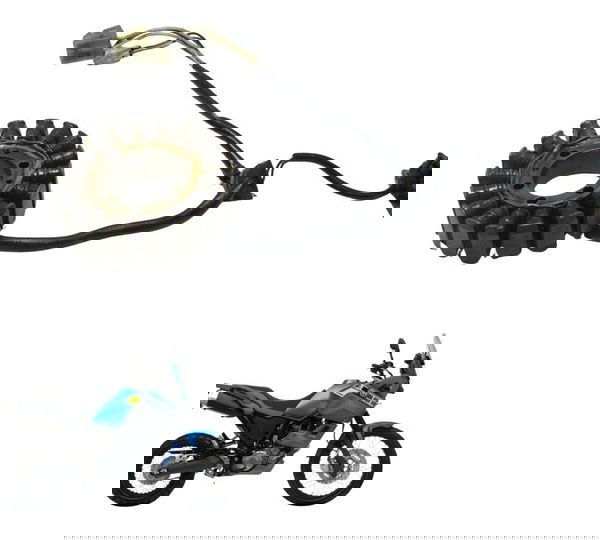 Estator C/ Pulsador Yamaha Xt 660z Tenere 12-15 Original