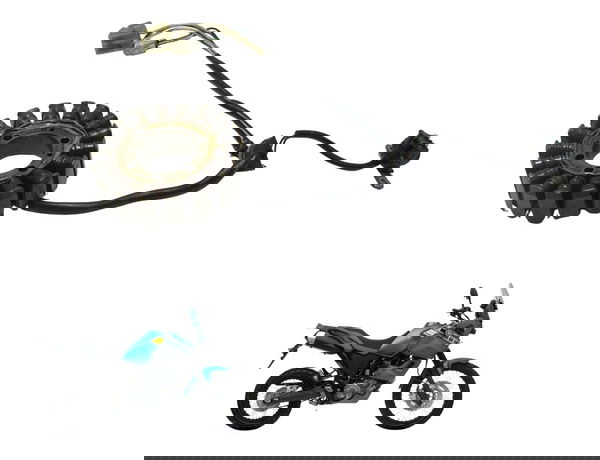 Estator C/ Pulsador Yamaha Xt 660z Tenere 12-15 Original