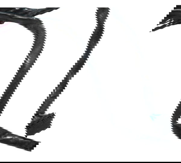 Chicote Farol Harley Electra Touring M8 114 19-23 Original