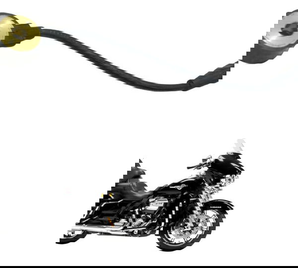 Sensor Detonação Harley Electra Touring M8 114 19-23 Origina