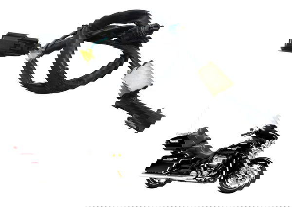 Chicote Bomba Água Harley Electra Touring M8 114 19-23