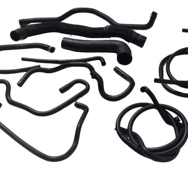Kit Mangueiras Bmw F 900 R 22-24 Original