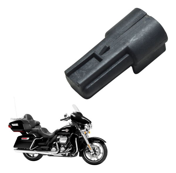 Rele Delphi Harley Electra Touring M8 114 19-23 Original